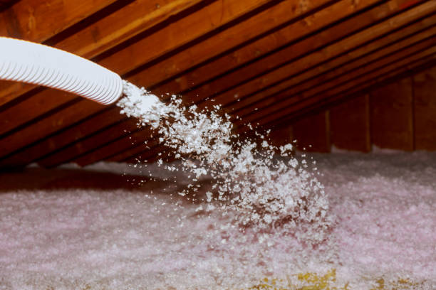 Best Energy-efficient Insulation  in Oak Grove, TN
