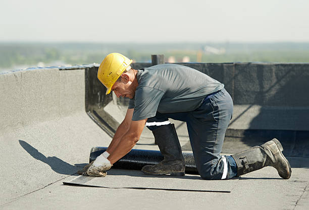 Best Insulation Contractor Near Me  in Oak Grove, TN