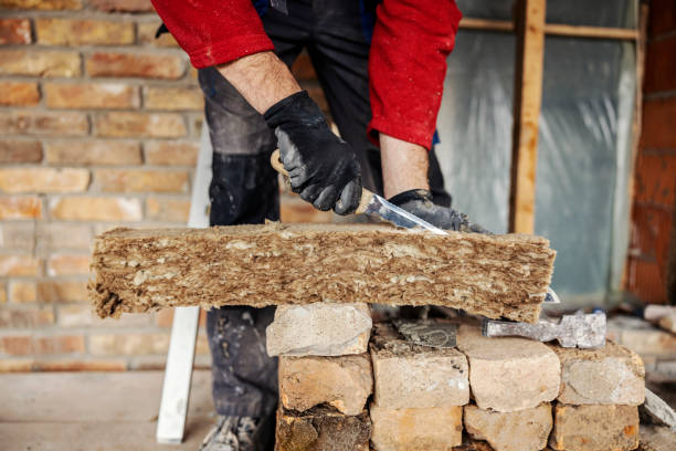 Best Attic Insulation Installation  in Oak Grove, TN