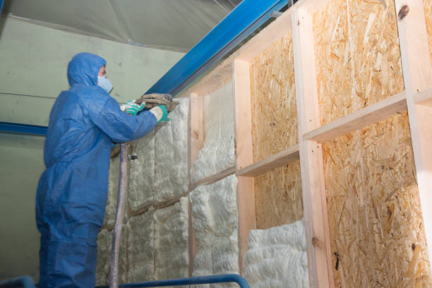 Best Attic Insulation Installation  in Oak Grove, TN